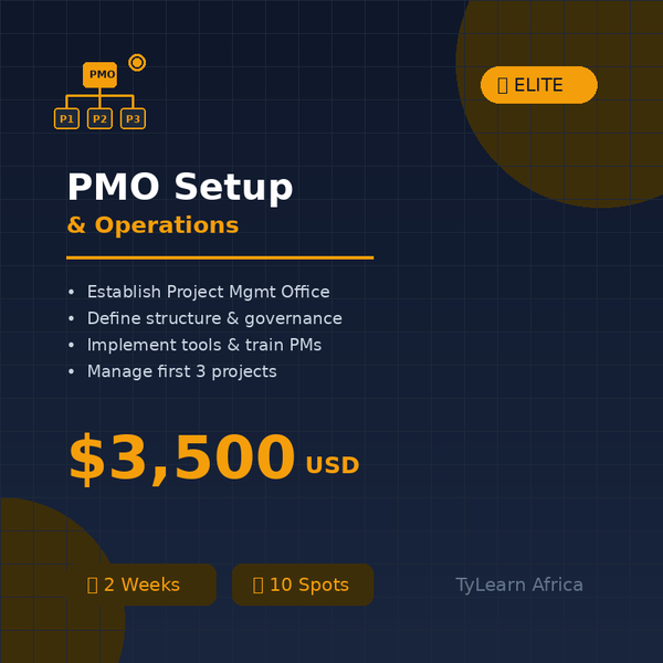 PMO Setup & Operations
