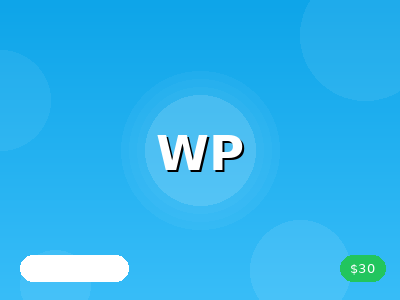 WordPress Plugin Updates