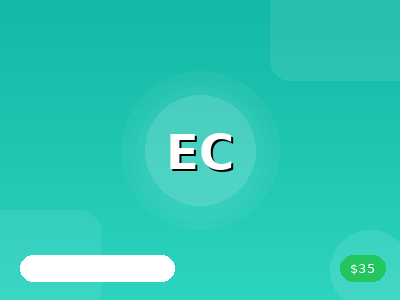 E-commerce Customer Email Support