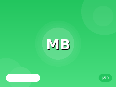 Monthly Bank Reconciliation